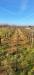 Pince �s pr�sh�z